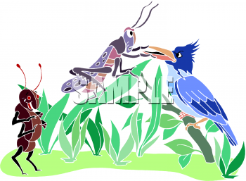 Insect Clipart