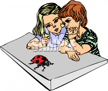 Beetle Clipart