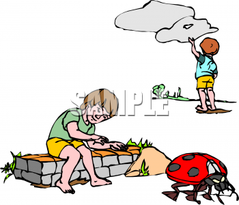 Beetle Clipart