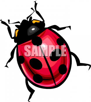 Beetle Clipart