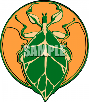 Insect Clipart