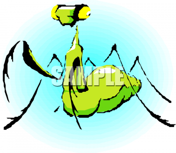 Insect Clipart