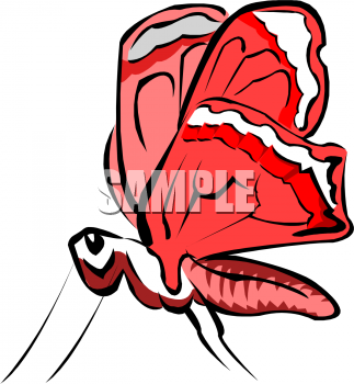 Insect Clipart
