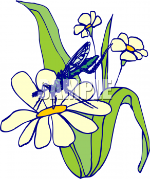 Insect Clipart
