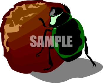 Insect Clipart