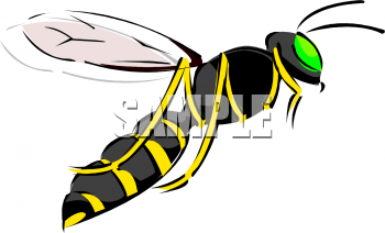 Insect Clipart