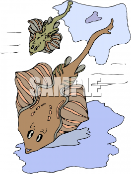 Fish and Sea Life Clipart