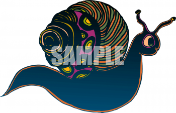 Mollusk Clipart