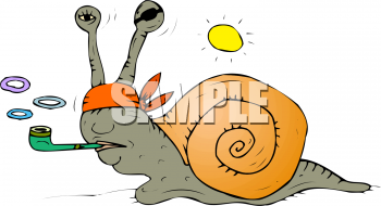 Mollusk Clipart