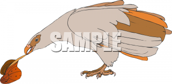Bird Clipart