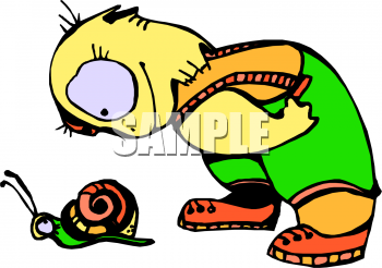 Mollusk Clipart
