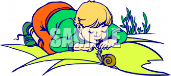 Mollusk Clipart