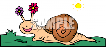 Mollusk Clipart