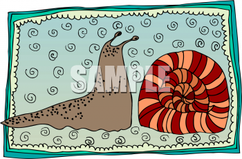 Mollusk Clipart