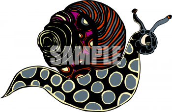 Mollusk Clipart