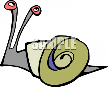 Mollusk Clipart