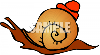 Mollusk Clipart