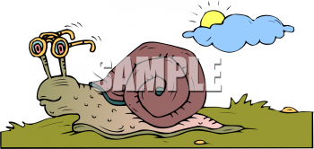 Mollusk Clipart