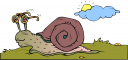 Mollusk Clipart