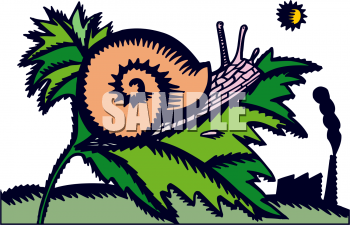 Mollusk Clipart