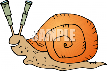 Mollusk Clipart