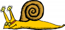 Mollusk Clipart