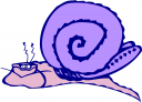 Mollusk Clipart