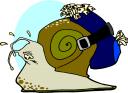 Mollusk Clipart