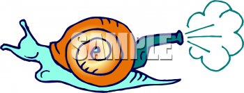 Mollusk Clipart
