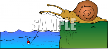 Mollusk Clipart