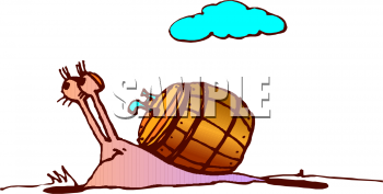 Mollusk Clipart