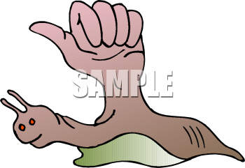 Mollusk Clipart