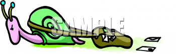 Mollusk Clipart