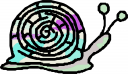 Mollusk Clipart