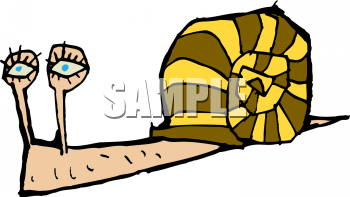 Mollusk Clipart