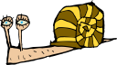 Mollusk Clipart