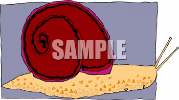 Reptile Clipart