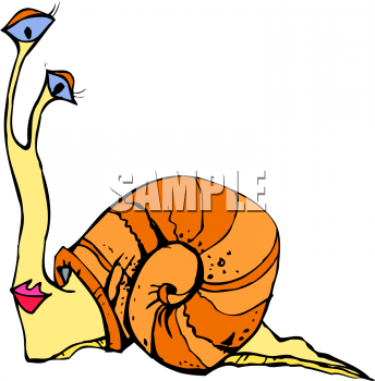 Mollusk Clipart