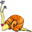 Mollusk Clipart