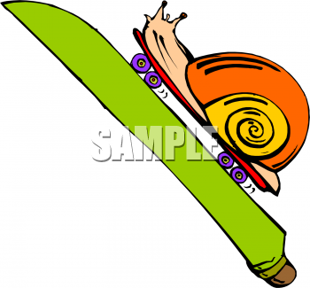 Mollusk Clipart