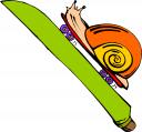 Mollusk Clipart