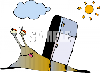 Mollusk Clipart