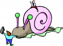 Mollusk Clipart