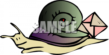Mollusk Clipart
