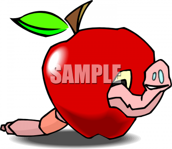 Insect Clipart