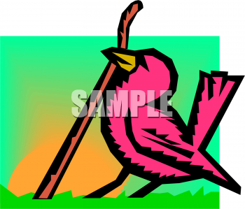 Insect Clipart