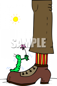 Insect Clipart