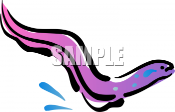 Invertebrates Clipart