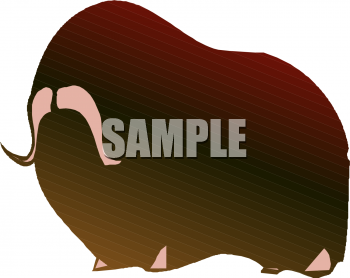 Aquatic Animals Clipart