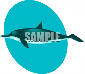 Aquatic Animals Clipart